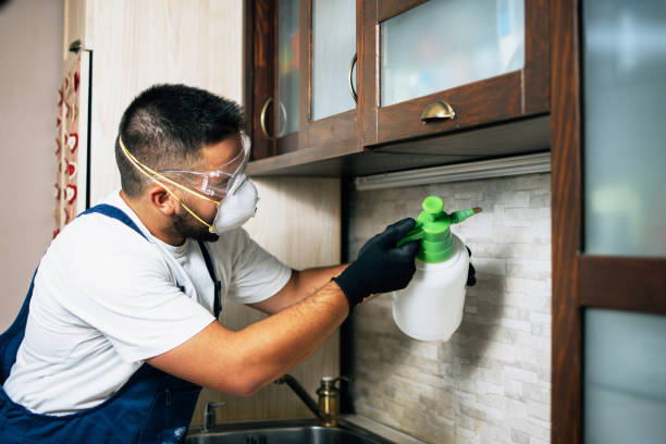 Pest Control for Restaurants in Rock Island, IL