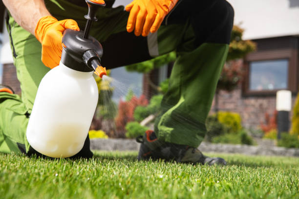 Professional Pest Control in Rock Island, IL
