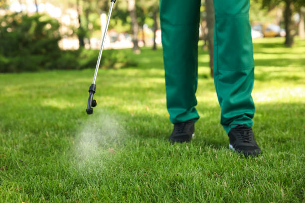 Best Affordable Pest Control Services  in Rock Island, IL